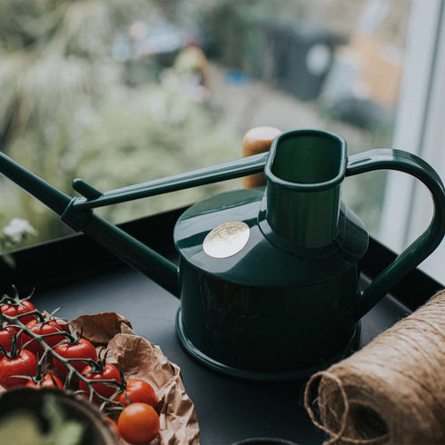 Langley Sprinker One Pint Watering Can (Dark Green)